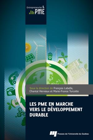 Cover of the book Les PME en marche vers le développement durable by Éric Mottet, Frédéric Lasserre, Barthélémy Courmont
