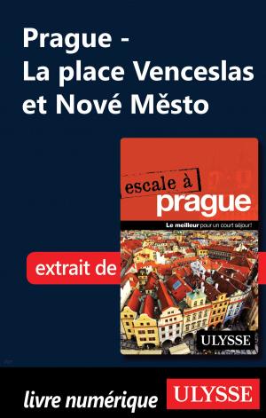 Cover of the book Prague - La place Venceslas et Nové Město by Patrick Moreau