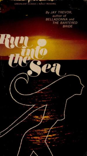 Cover of the book Run into the Sea by E L Tracy
