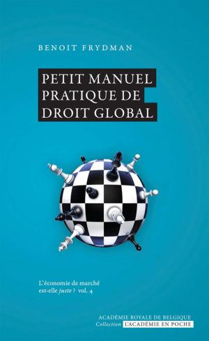 Cover of the book Petit manuel pratique de droit global by Bruno Colmant