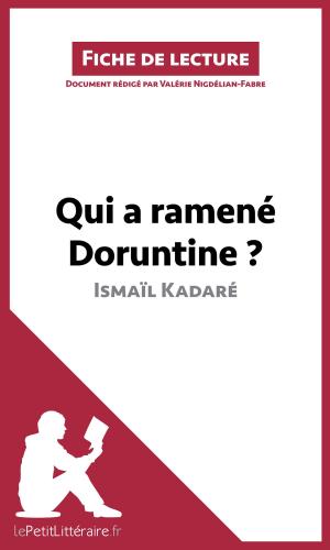 Cover of the book Qui a ramené Doruntine ? d'Ismaïl Kadaré (Fiche de lecture) by Dominique Coutant-Defer, Pierre-Maximilien Jenoudet, lePetitLittéraire.fr