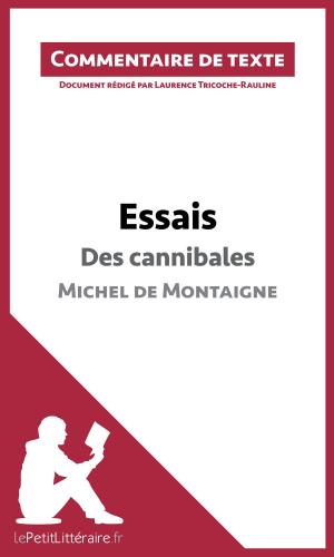 Cover of the book Essais - Des cannibales de Michel de Montaigne (livre I, chapitre XXXI) (Commentaire de texte) by Noé Grenier, lePetitLitteraire.fr
