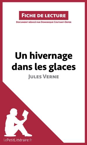 Cover of Un hivernage dans les glaces de Jules Verne (Fiche de lecture) by Dominique Coutant-Defer,                 lePetitLittéraire.fr, lePetitLitteraire.fr
