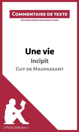 Cover of the book Une vie de Maupassant - Incipit by Nausicaa Dewez, lePetitLittéraire.fr