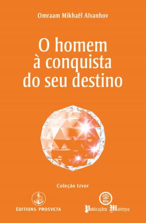 Cover of the book O homem à conquista do seu destino by Vince Guaglione