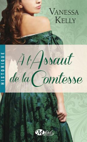 Book cover of À l'assaut de la comtesse