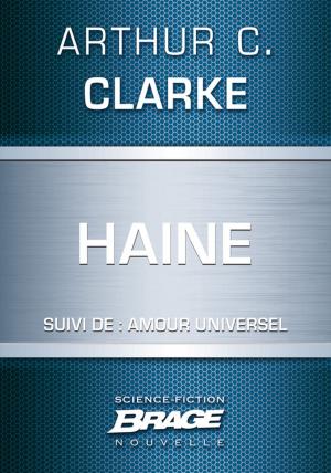 Cover of the book Haine (suivi de) Amour universel by Paul J. Mcauley