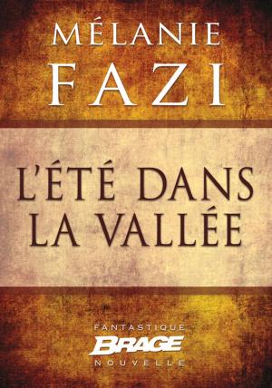 Cover of the book L'Été dans la vallée by Dawn Cook