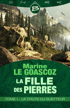 Cover of the book La Chute du Guetteur by Christie Golden