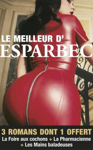 Cover of the book Le meilleur d'Esparbec by Brigitte Lahaie