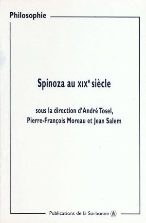 Book cover of Spinoza au XIXe siècle
