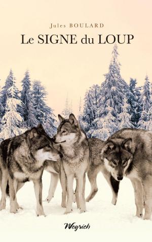 bigCover of the book Le signe du loup by 