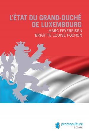 Cover of the book L'État du Grand-duché de Luxembourg by Elisabeth Derriks, Karima Sbai, Maïté Van Regemorter, Dolores Daie, Anne–Sophie Deffense, Christine Vaillant