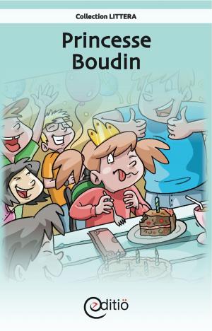 Cover of the book Princesse Boudin by Tomy Pageau