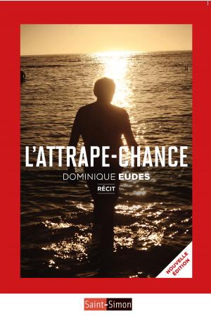 Cover of the book L'attrape-chance by Sari Grove