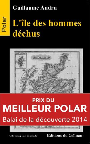 Cover of the book L'île des hommes déchus by Kristy Pantin