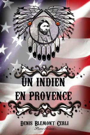 Cover of Un Indien en Provence