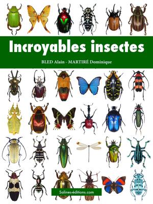 Cover of the book Incroyables insectes by Adolphe Badin