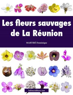 Cover of the book Les fleurs sauvages de La Réunion by Anonyme