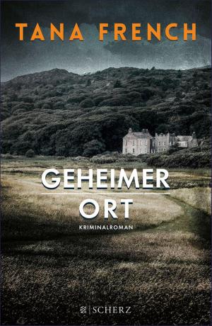 Cover of the book Geheimer Ort by Günter de Bruyn