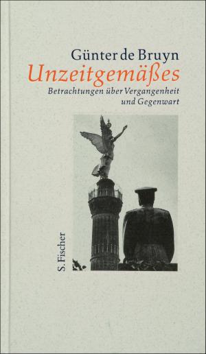 Cover of the book Unzeitgemäßes by Julia Franck