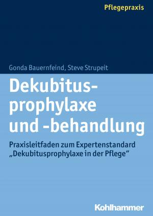 Cover of the book Dekubitusprophylaxe und -behandlung by Sonja Öhlschlegel-Haubrock, Jutta Rach, Juliane Wolf, Alexander Haubrock