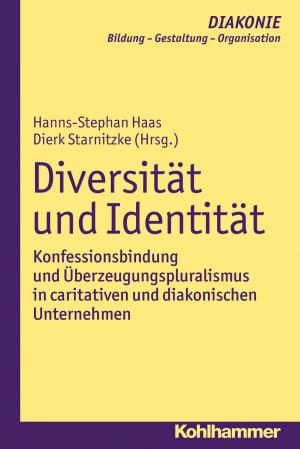 Cover of the book Diversität und Identität by Johannes Eurich, Andreas Lob-Hüdepohl