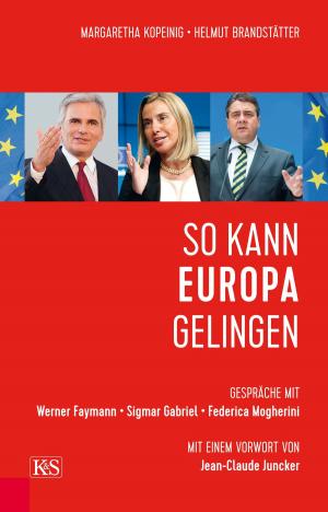 Cover of the book So kann Europa gelingen by Dieter Kindermann