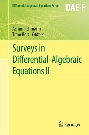 Cover of the book Surveys in Differential-Algebraic Equations II by Tatiana Tatarenko