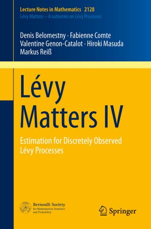 bigCover of the book Lévy Matters IV by 
