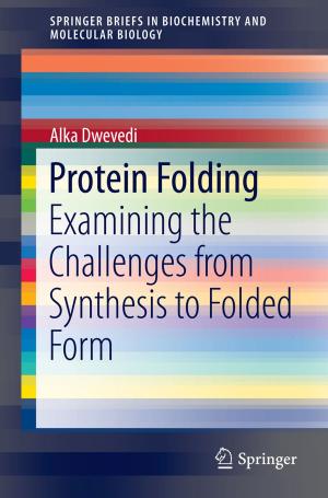 Cover of the book Protein Folding by Stijn Brouwer