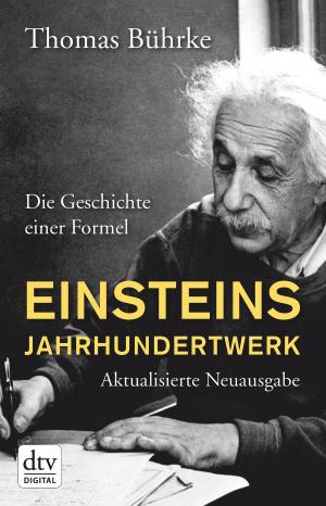 Cover of the book Einsteins Jahrhundertwerk by Dietmar Bittrich