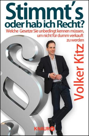 Cover of the book Stimmt's oder hab ich Recht? by Markus Heitz