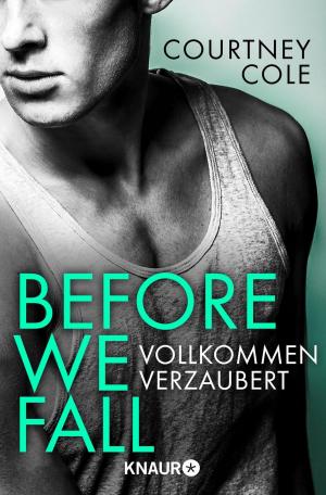bigCover of the book Before We Fall - Vollkommen verzaubert by 