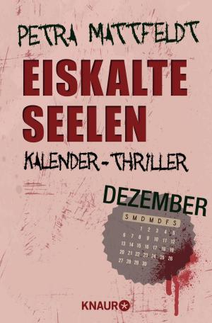 Cover of the book Eiskalte Seelen by Heidi Rehn