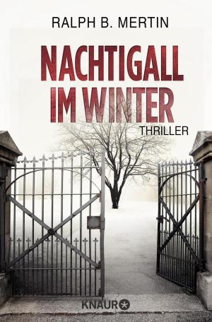 Cover of the book Nachtigall im Winter by Andreas Franz