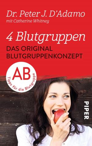 Cover of the book Das Original-Blutgruppenkonzept by Thomas Raab