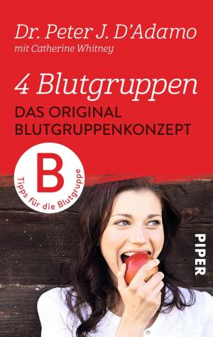 Cover of the book Das Original-Blutgruppenkonzept by Michael Peinkofer
