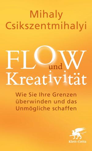 Book cover of FLOW und Kreativität