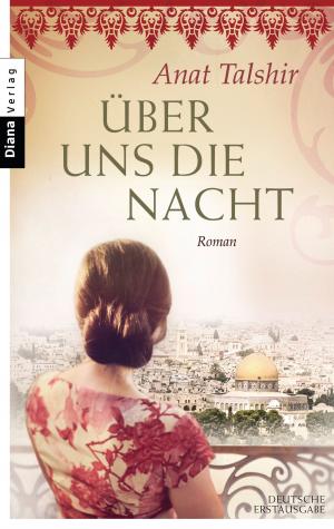 Cover of the book Über uns die Nacht by Brigitte Riebe