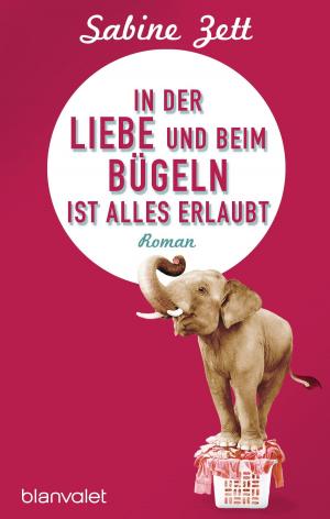 Cover of the book In der Liebe und beim Bügeln ist alles erlaubt by Andrea Schacht