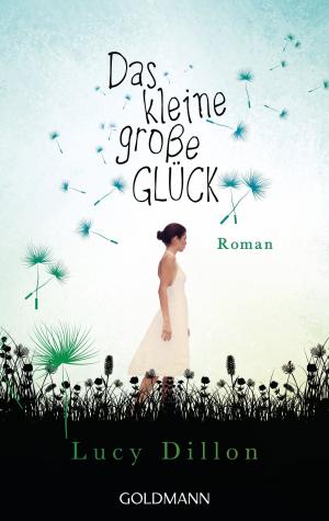 Book cover of Das kleine große Glück