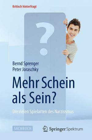 Cover of the book Mehr Schein als Sein? by Terje Aven, Ortwin Renn
