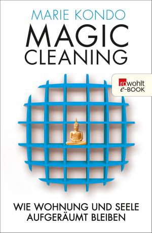 bigCover of the book Magic Cleaning 2 by 