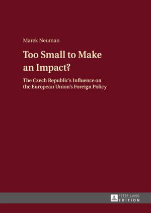 Cover of the book Too Small to Make an Impact? by Monika Manczyk-Krygiel, Anna Gajdis