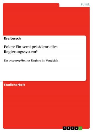 Cover of the book Polen: Ein semi-präsidentielles Regierungssystem? by Nam-Ho Kim