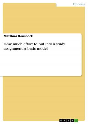 Cover of the book How much effort to put into a study assignment. A basic model by Michael Grünert, Anne Irmer