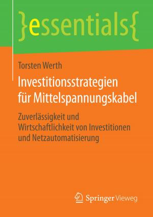 Cover of the book Investitionsstrategien für Mittelspannungskabel by Jana Brauweiler, Anke Zenker-Hoffmann, Markus Will