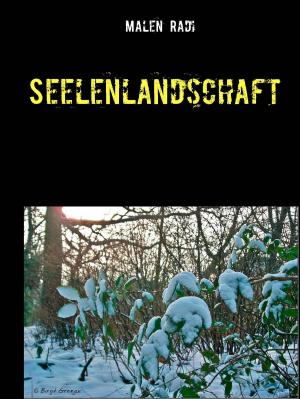 Cover of the book Seelenlandschaft by Manie van der Westhuizen