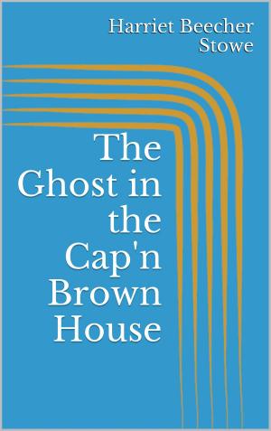 Cover of the book The Ghost in the Cap'n Brown House by Jörg Becker